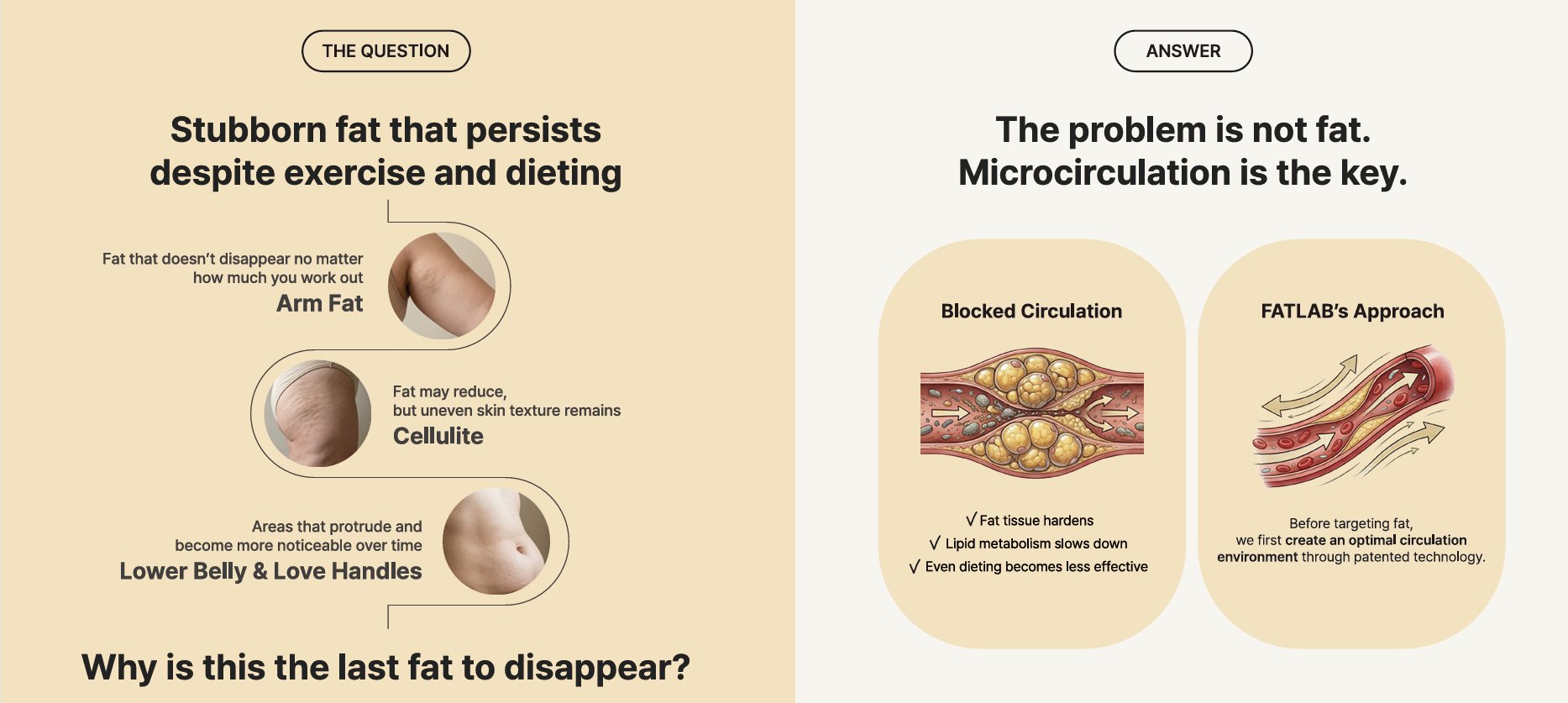 Why stubborn fat on the arms, thighs and belly is the last to go, and FAT LAB's answer: microcirculation first.