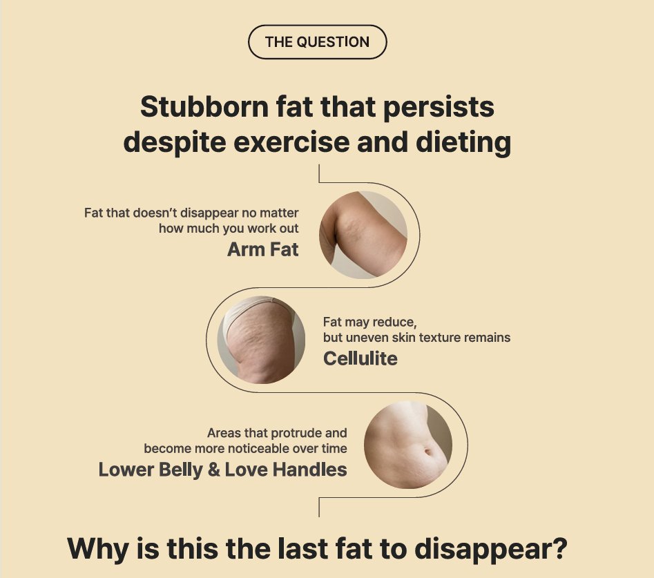 Stubborn fat that persists despite exercise and dieting: arm fat, cellulite, lower belly and love handles.